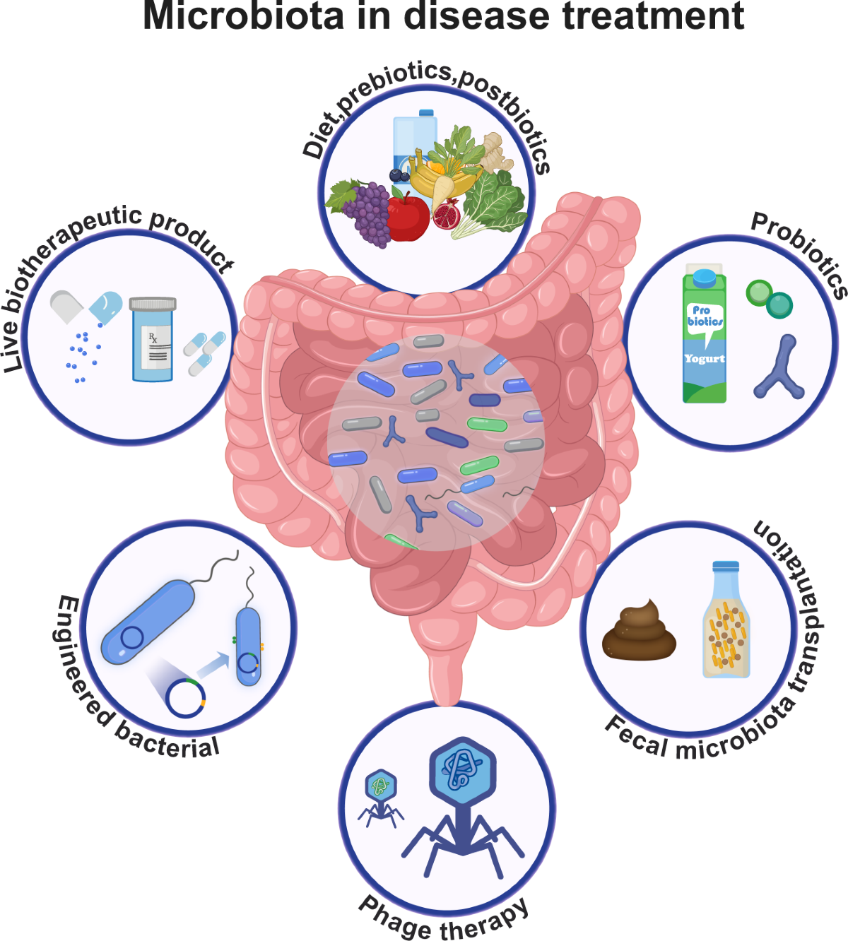 Microbiota in disease treatment and health